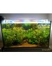 AQUA LED FULL SPECTRUM BİTKİLİ AKVARYUM AYDINLATMA 4 RENK KARIŞIK