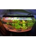 AQUA LED PLANT FULL SPECTRUM  4 RENK ÖZEL DİZİLİM