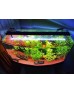 AquaLed META Plant PRO Full Spectrum 6 Sıra Led